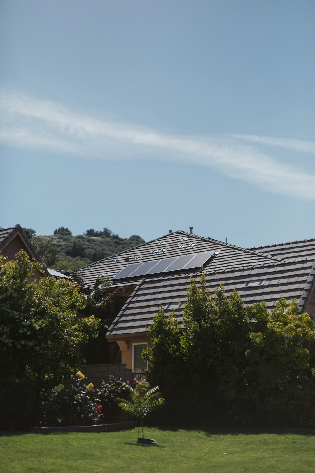 Vivint Solar - Solar Panels on home with bushes in backyard.
